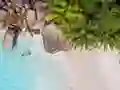 Seychelles Beach Jigsaw Puzzle – kostenloses Online-Spiel