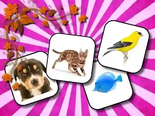 Animals Memory – kostenloses Online-Spiel