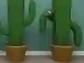 Cactus Cube – kostenloses Online-Spiel