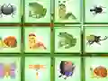 Find The Insect – kostenloses Online-Spiel