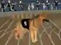 Crazy Dog Racing Fever – kostenloses Online-Spiel