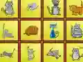 Cats Findiff – kostenloses Online-Spiel