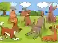 Animals Differences – kostenloses Online-Spiel