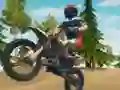 Dirt Bike Enduro Racing – kostenloses Online-Spiel
