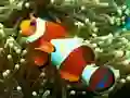 Underwater Hidden Numbers – kostenloses Online-Spiel