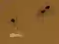 Save the crumb – kostenloses Online-Spiel