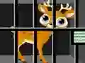 Animals Rescue – kostenloses Online-Spiel