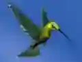 Hummingbird House Escape – kostenloses Online-Spiel