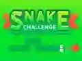 Snake Challenge – kostenloses Online-Spiel