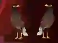 Peikin Duck Escape – kostenloses Online-Spiel