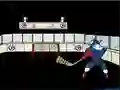 Capitaine Cage Hockey – kostenloses Online-Spiel