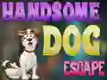 Handsome Dog Escape – kostenloses Online-Spiel