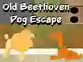 Old Beethoven Dog Escape – kostenloses Online-Spiel