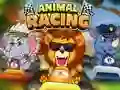 Animal Racing – kostenloses Online-Spiel