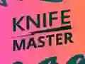 Knife Master – kostenloses Online-Spiel