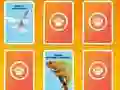 National Geographic Kids Matching – kostenloses Online-Spiel