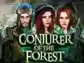 Conjurer Of The Forest – kostenloses Online-Spiel