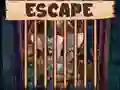 Beautiful Little Bat Escape – kostenloses Online-Spiel