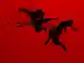 Run Ninja Run – kostenloses Online-Spiel
