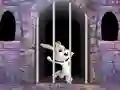 Victory Rabbit Escape – kostenloses Online-Spiel