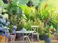 Find The Cute Pandas – kostenloses Online-Spiel