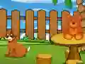 Funny Iguana Escape – kostenloses Online-Spiel