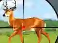 Wild Hunt Hunting Games 3D – kostenloses Online-Spiel