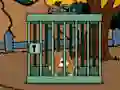 Staffordshire Bull Terrier Escape – kostenloses Online-Spiel
