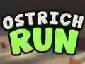 Ostrich Run – kostenloses Online-Spiel