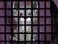 Trapped Wolf Rescue – kostenloses Online-Spiel