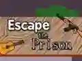 Escape the Prison – kostenloses Online-Spiel