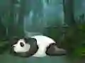 Wakeup The Sleeping Panda – kostenloses Online-Spiel
