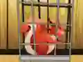 Rescue The Red Squirrel From Cage – kostenloses Online-Spiel