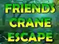 Friends Crane Escape – kostenloses Online-Spiel