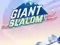 Giant Slalom – kostenloses Online-Spiel