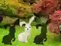 Assist The White Cock – kostenloses Online-Spiel