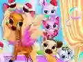 Pets Grooming Bubble Party – kostenloses Online-Spiel
