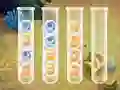 Sort Bubbles – kostenloses Online-Spiel