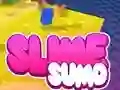 Sumo Slime 3D – kostenloses Online-Spiel