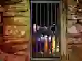 Hidden Cat Escape – kostenloses Online-Spiel