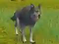 The Wolf: Wild Animal Simulator – kostenloses Online-Spiel