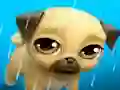 My Virtual Pet Louie the Pug – kostenloses Online-Spiel