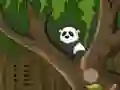 Panda Jungle Escape – kostenloses Online-Spiel