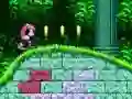 Mighty & Ray In Sonic 2 – kostenloses Online-Spiel
