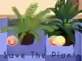Save the Plants – kostenloses Online-Spiel
