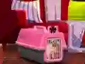 Escape The Small Pug – kostenloses Online-Spiel