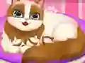 Cute Kitty Pregnant – kostenloses Online-Spiel