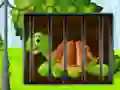 Turtle Fiery Escape – kostenloses Online-Spiel