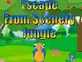 Escape from Scenery Jungle – kostenloses Online-Spiel