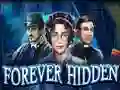 Forever Hidden – kostenloses Online-Spiel